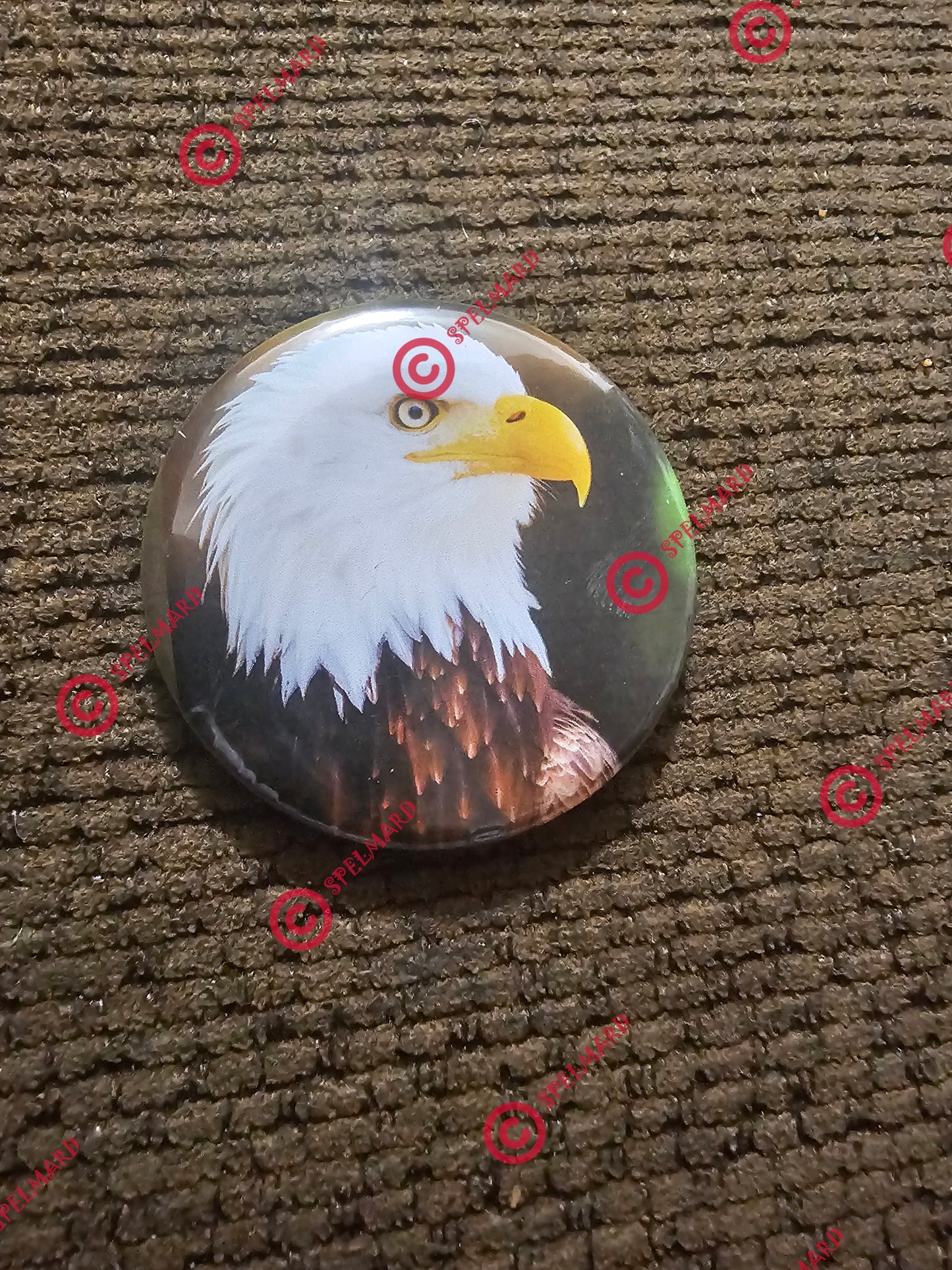 American Eagle Bird Button Badge Collectible