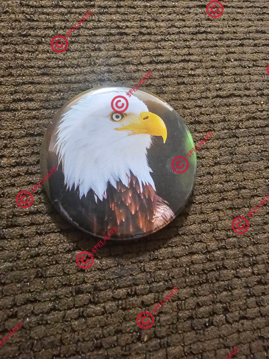 American Eagle Bird Button Badge Collectible