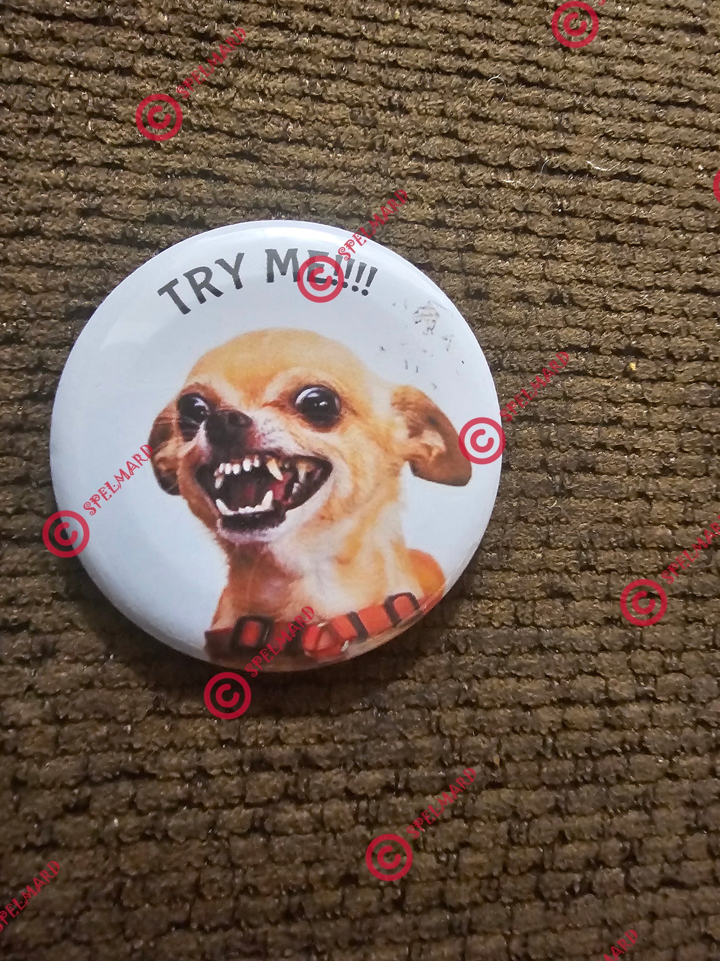 CHIHUAHUA DOG ANGRY BUTTON COLLECTIBLE 2 1/2 INCHES