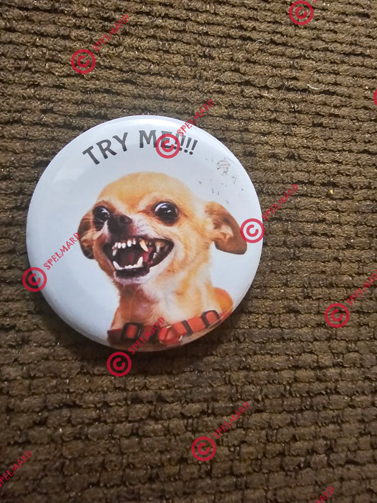 CHIHUAHUA DOG ANGRY BUTTON COLLECTIBLE  2 1/2 INCHES